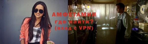 амф Снежногорск